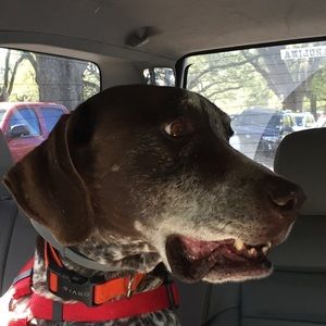 Meet your Posher, Kate